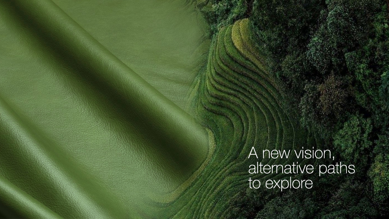 A new vision, alternative paths to explore